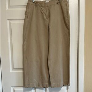 Banana Republic Wide Leg Pants in Khaki